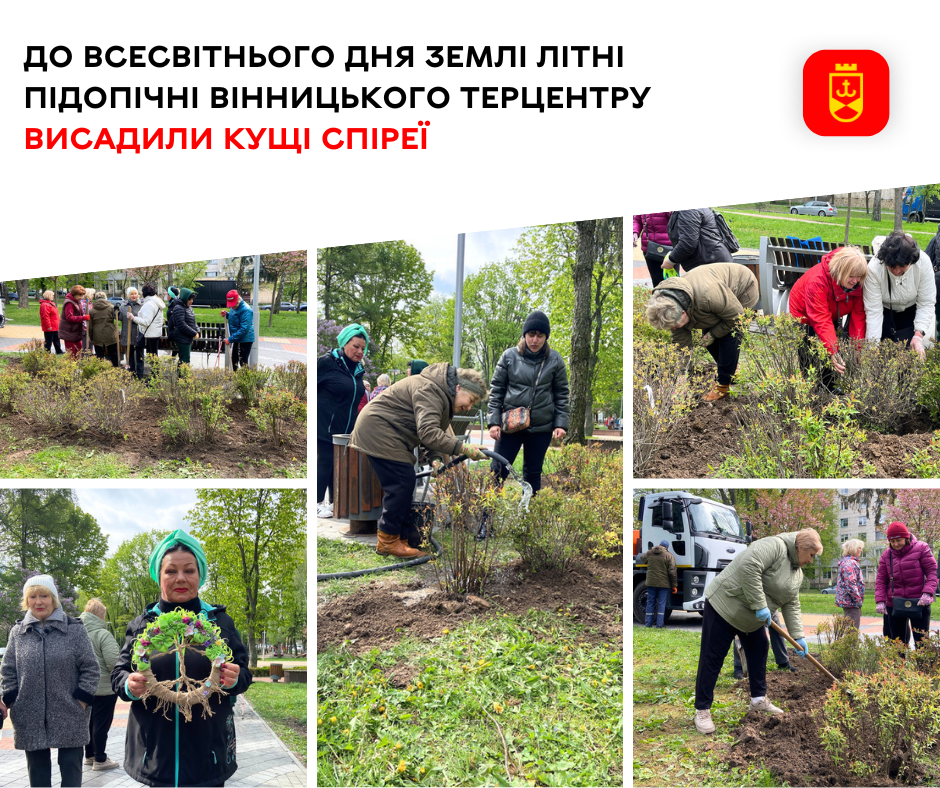 Висадка кущів спіреї відвідувачами Терцентру